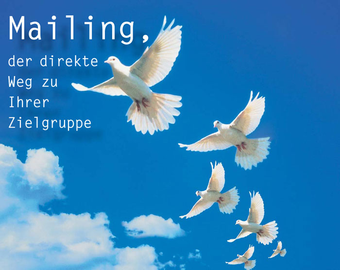 Leistungen