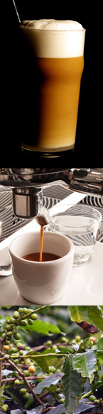 Kaffee